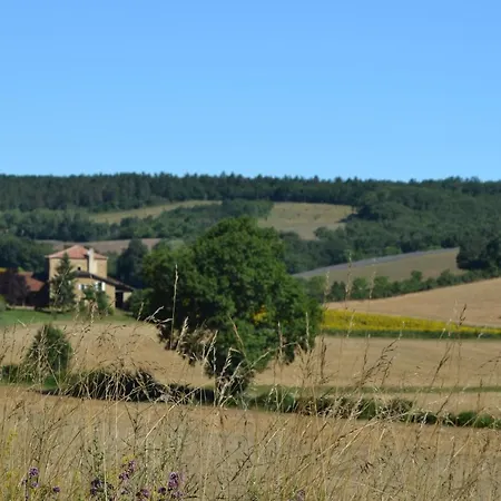La Grange Des Templiers Holiday home Castelnau-d'Angles